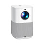 Vankyo Projector